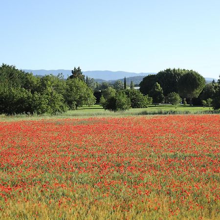 Duplex De Charme Au Coeur De La Provence. Appartement Pertuis Buitenkant foto